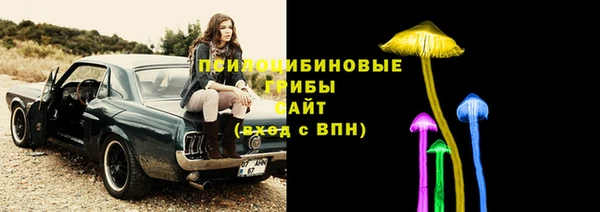MESCALINE Аркадак