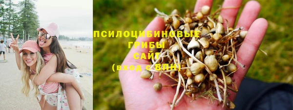 мяу мяу кристалл Армянск