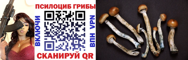 Псилоцибиновые грибы Magic Shrooms  кракен как зайти  Новоалтайск 